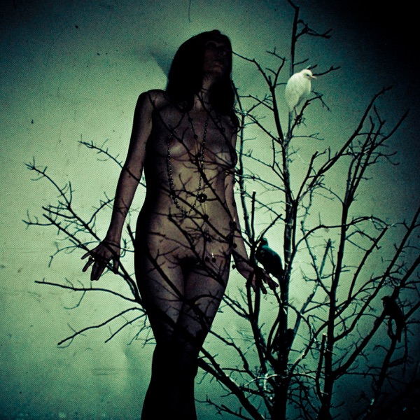 [Image: The-Atlas-Moth-An-Ache-For-The-Distance-2011.jpg]