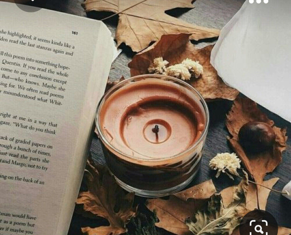 Screenshot_20231008_225032_Pinterest