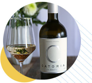 picture of wine and fruit