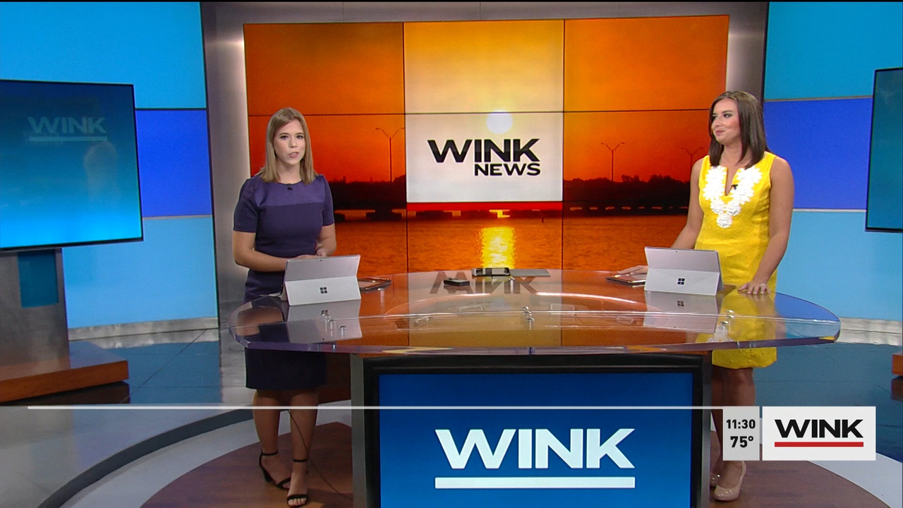 03.14 - 15.30.00 - WINK News @ 11 30AM. Local news, sports and weathe....ts_snapshot_01.48.451