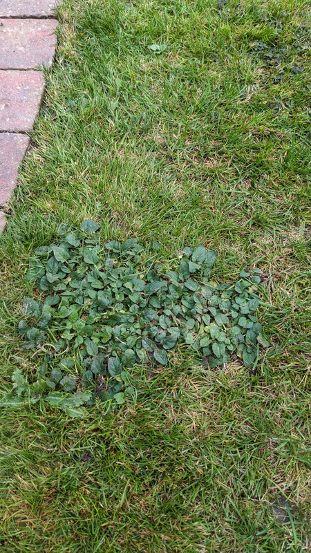 PXL_20231023_150022136