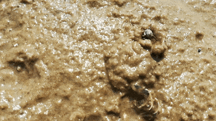 GIFs-10