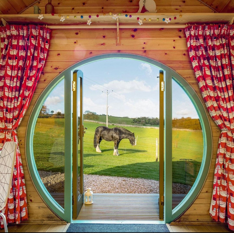 Screenshot_20231208_212248_Instagram