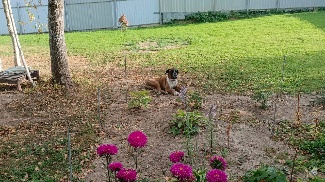 5D26F11F-E093-42EB-8DAB-4EE02D144809