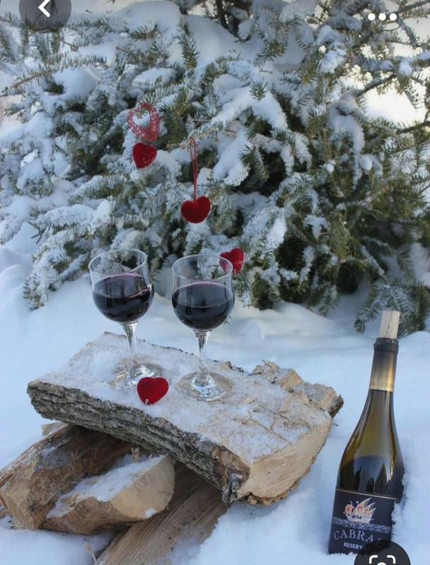 Screenshot_20231010_225013_Pinterest