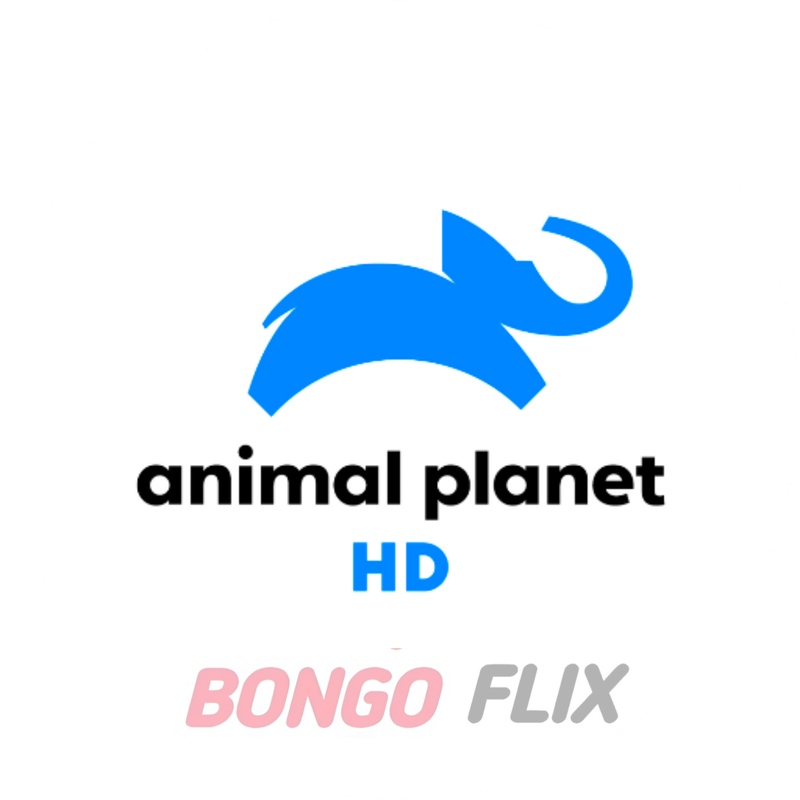 Animal Planet HD