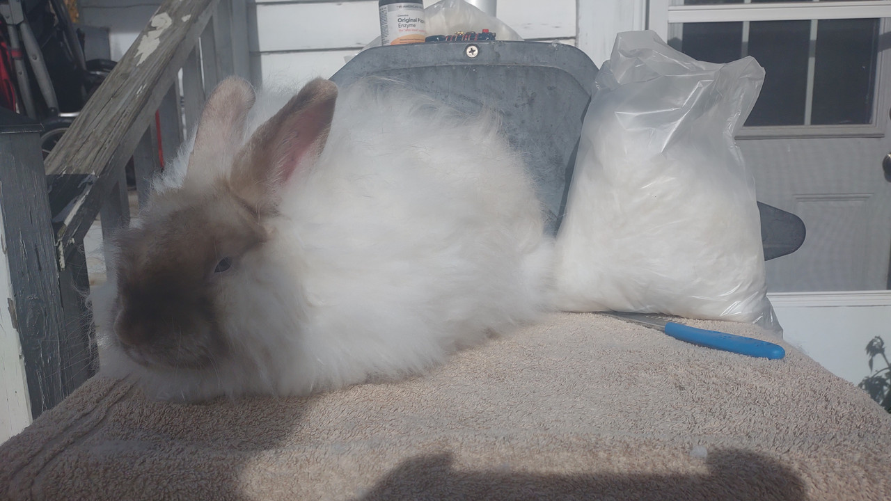 IMG 20251106 122102674