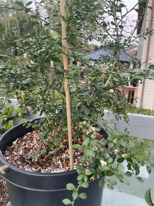 4E0D3265-BF84-4470-A18C-A499CE462B2D