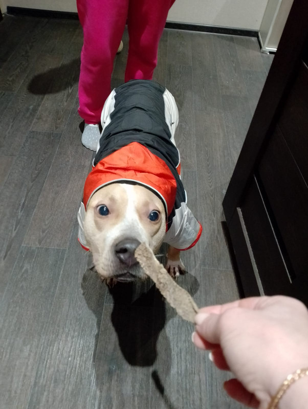 C9E98C4D-6071-4983-8DFC-C848BE8A6C60