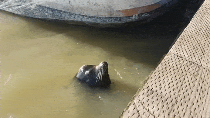 886545.gif
