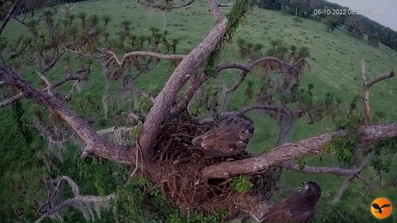 EC 4K Overhead Cam 6-58-29 screenshot