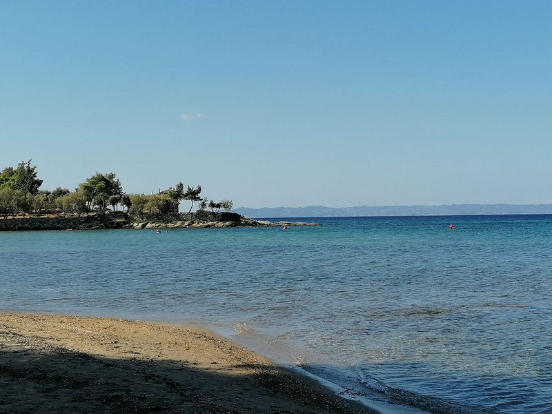 Slika
