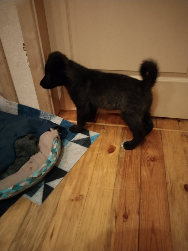 881AE8D3-CADB-4987-865F-4D8B7A0A9CE6