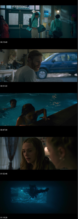 [Obrazek: screenshot-1.png]