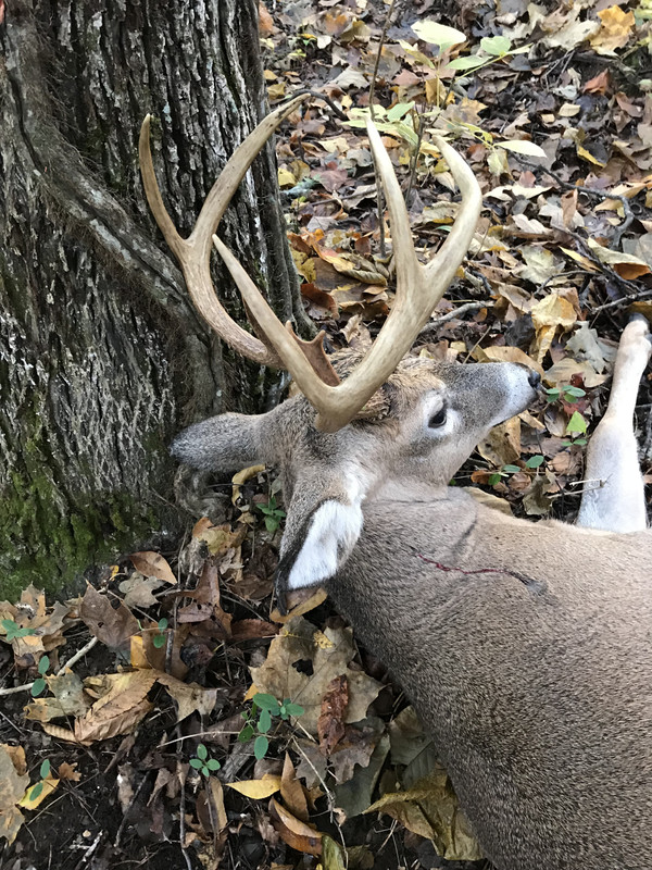 CB0CFD85-E248-4EA1-812E-ACEC3FD67DA9