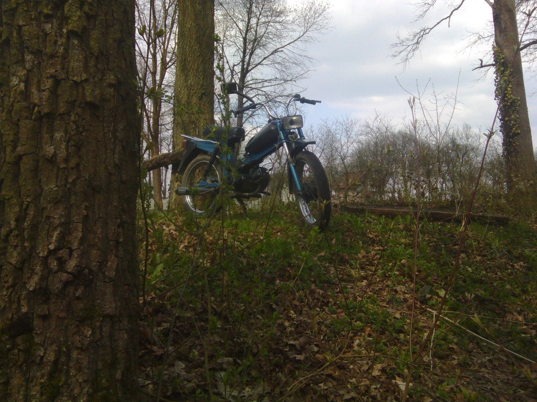 IMG_20150409_141748_495