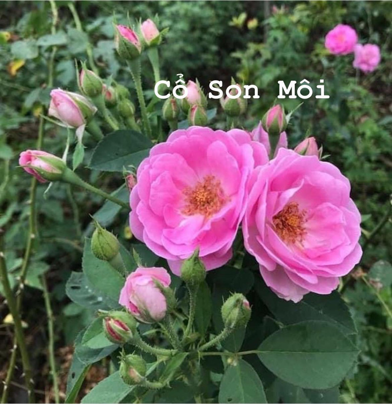 A78F5AF9-F501-4825-B7C7-0CFEF349A30B