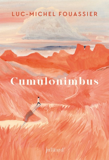 Cumulonimbus-Luc-Michel-Fouassier.jpg