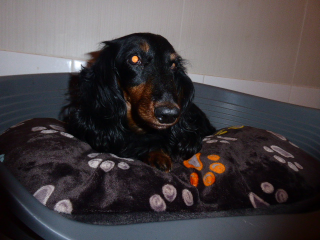 [Image: P1050739.jpg]