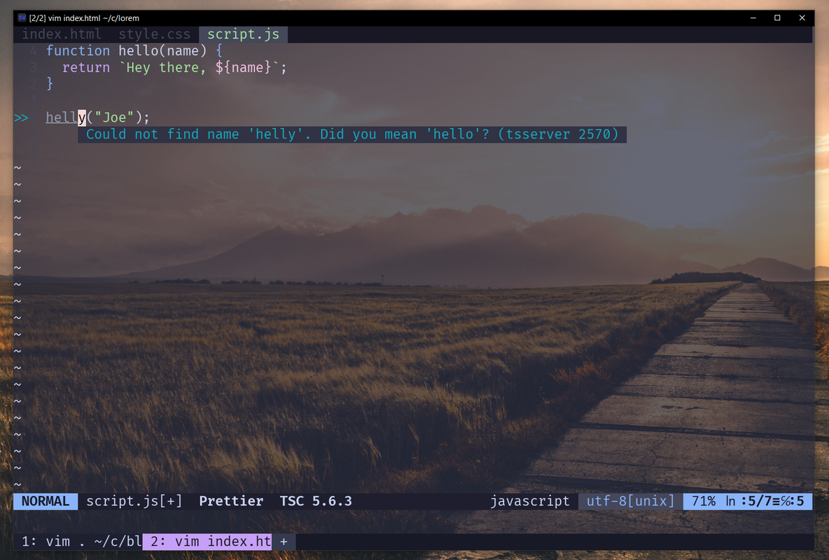 Racoon-Vim.png