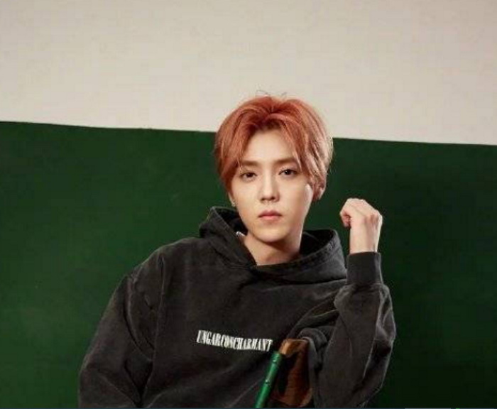 Лухан вышел из состава акционеров компании, в которой владел 99,9% ...