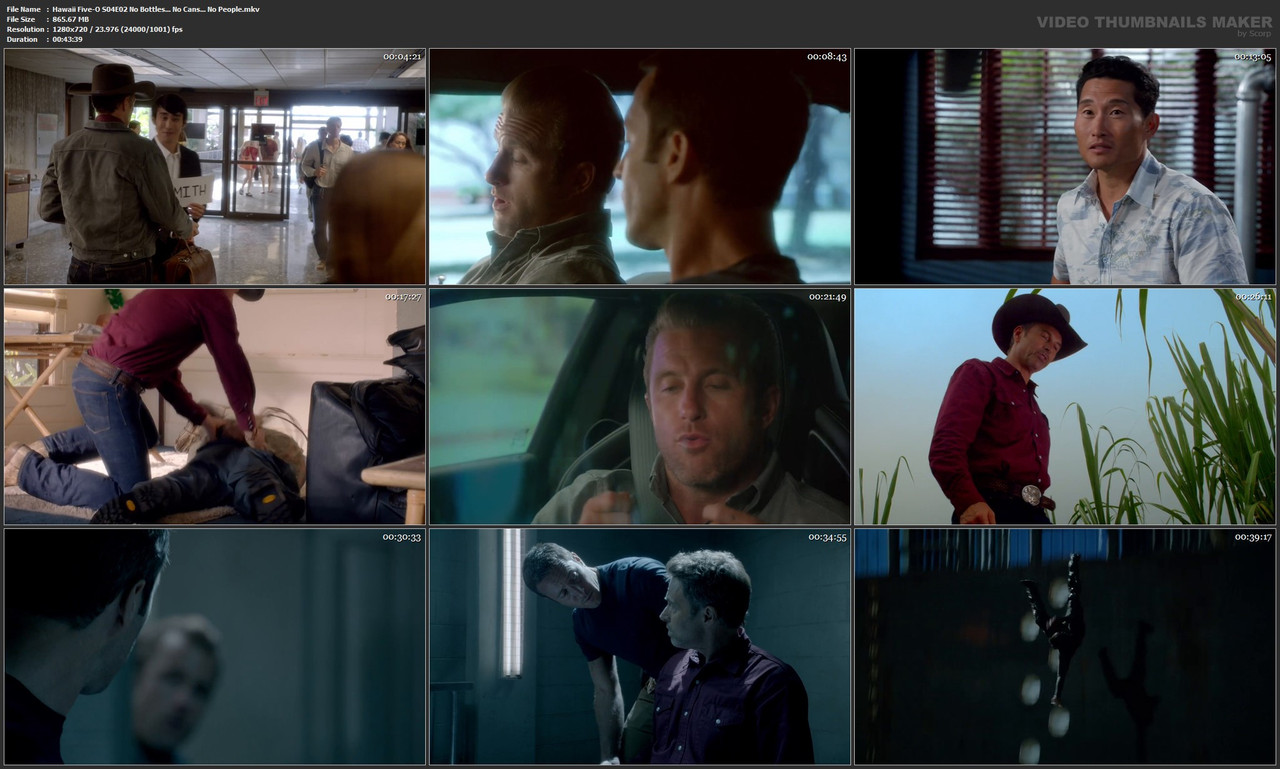 Hawaii Five-O S04E02 No Bottles... No Cans... No People.mkv