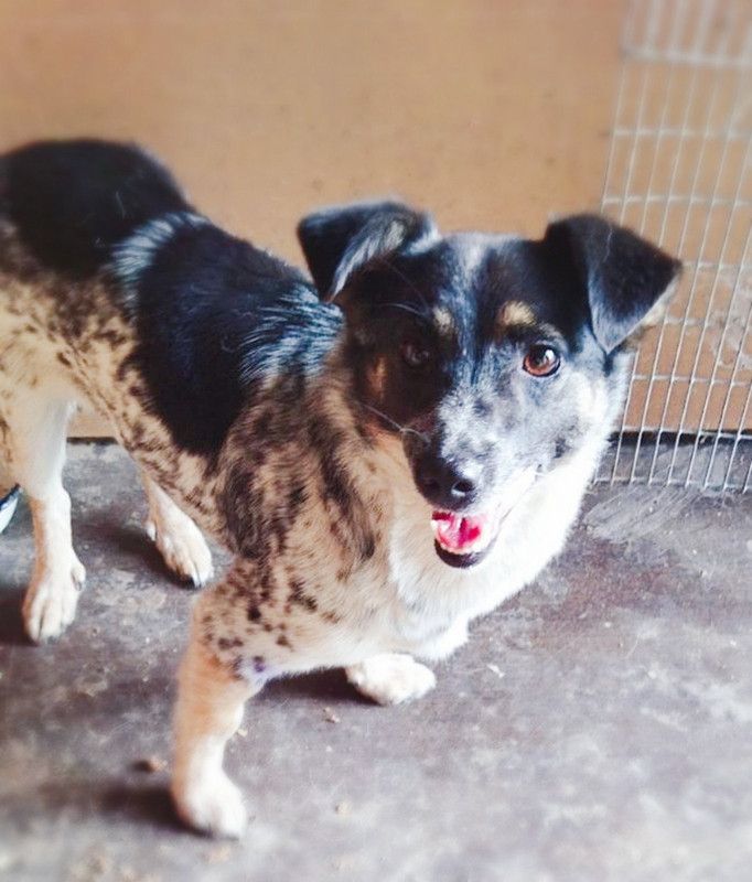 16ACB877-01AE-4BA0-A94E-BF7879398036