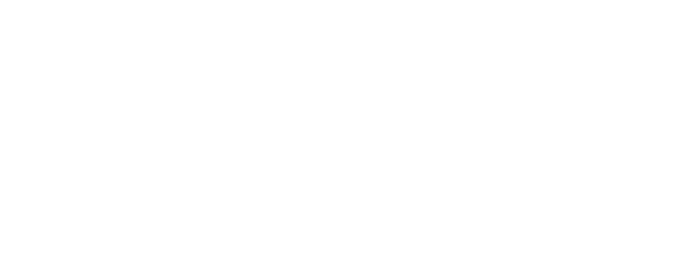 Investor 2