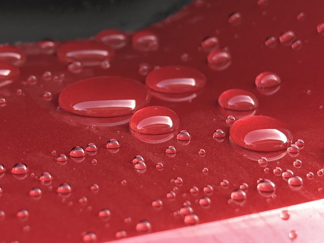 8C44BBD4-6437-4938-B6FD-8A659DD47F2C