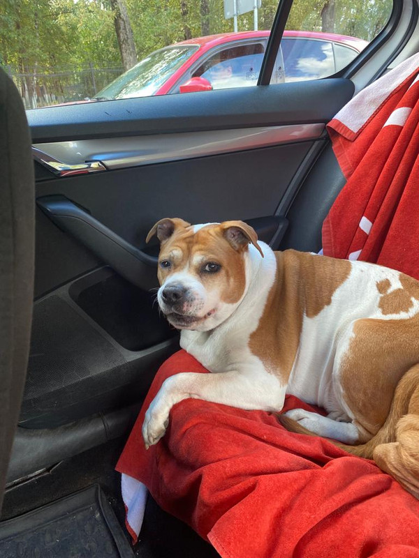 ACB9D1A5-B516-48D7-AE5F-DCF414BA128B