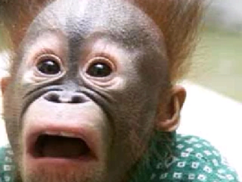 Сохраненное изображение 2018-2-12_22-30-37.875