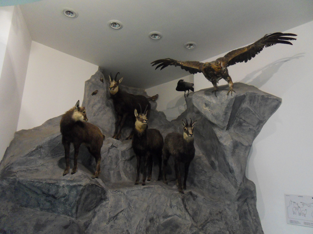 06.19 - SDC14192 (Czesio1)