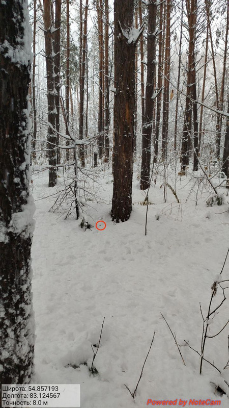 IMG 20251122 164354 635