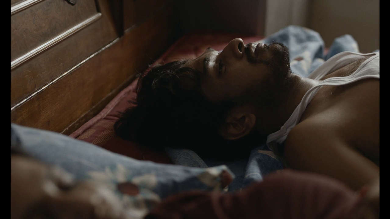 vlcsnap-2024-08-16-23h31m36s245