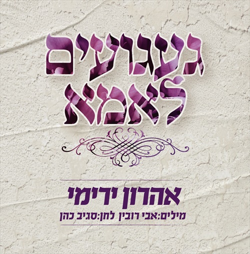 תמונה