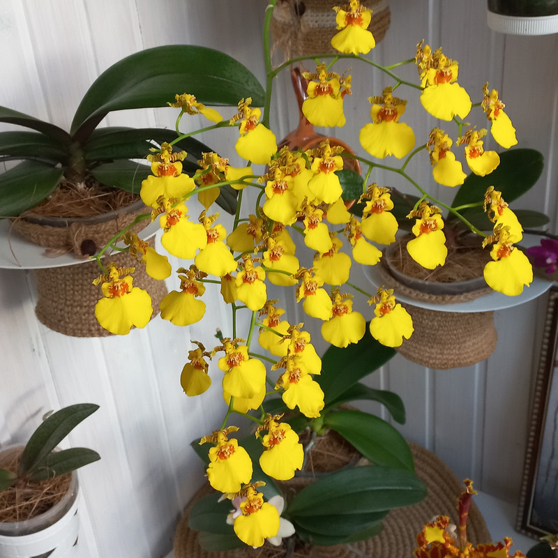 Dd Xw Wu QKsuws QN xe Ri D7ZEau M3Pwa SBWer Rzxc3rmv R95Hak5b f7oj4mr9Pu Kb Hx B4Hx6v ROhn3m 5IZI4BB