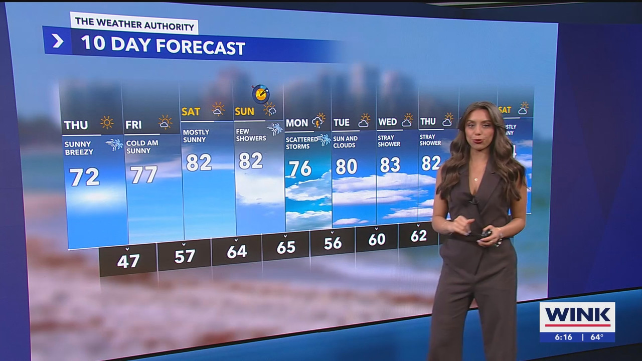 WINK News at 600am_20250306_11001130.ts_snapshot_17.10.441