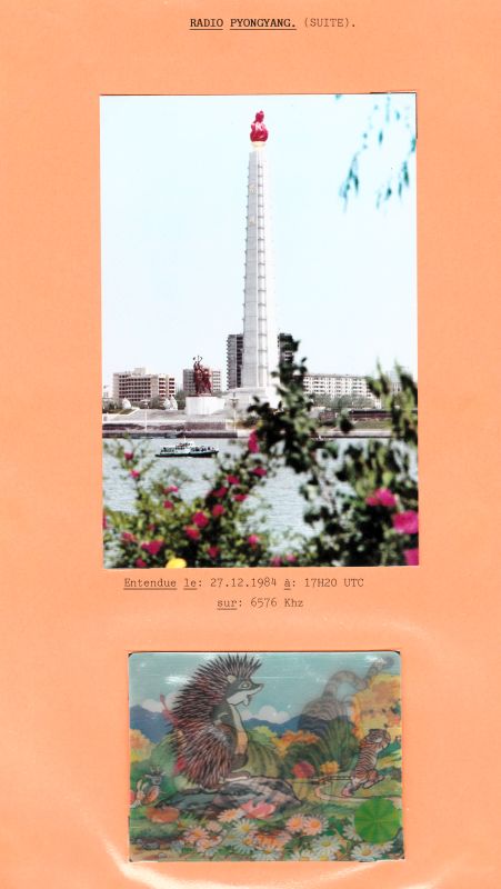 Radio Pyongyang  QSL-R-PYONGYANG-1984-6576