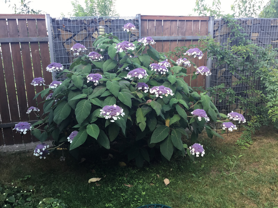 F2AD2BEF-0B06-4C82-9AEA-244C8E668180