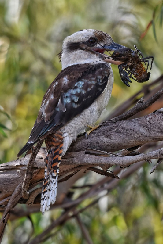 FB IMG 1767511699816