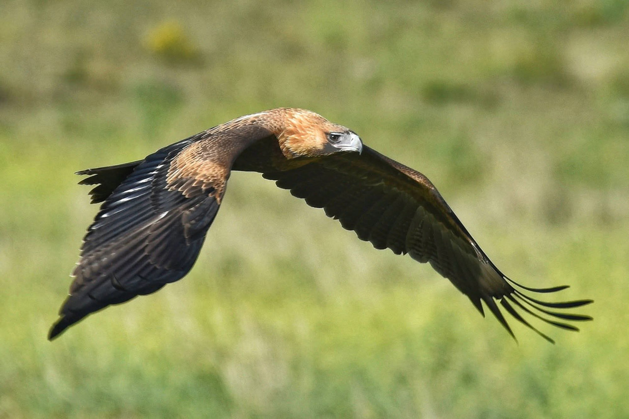 FB IMG 1767511735251