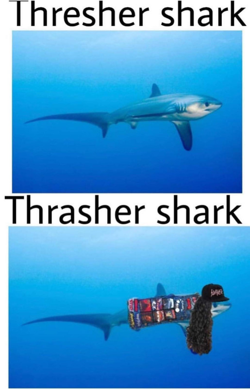 1667854090350974.jpg