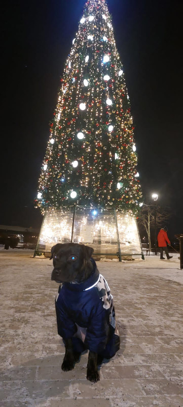 40249414-077C-4823-BFCD-53C3F7796AE4