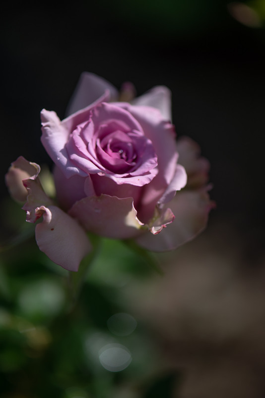 IMG-73d3a252ae3abbab0b2ee08044983c1b-V