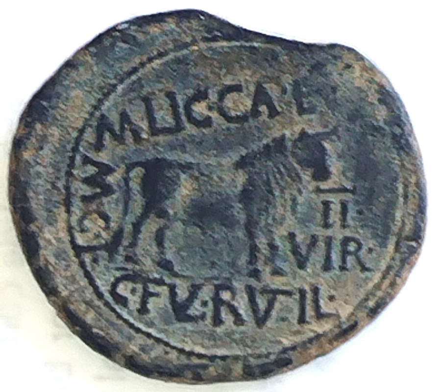 As de Calagurris, época de Augusto. M LIC CAPE(L) - C FVL RVTI(L) – M C I - II VIR. Toro a dcha.  35a