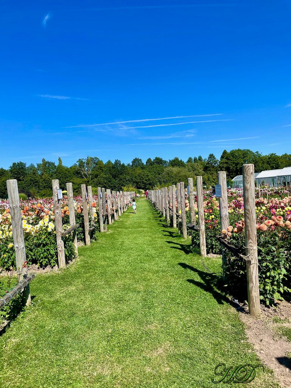 garden-centre-corridor-HD.jpg