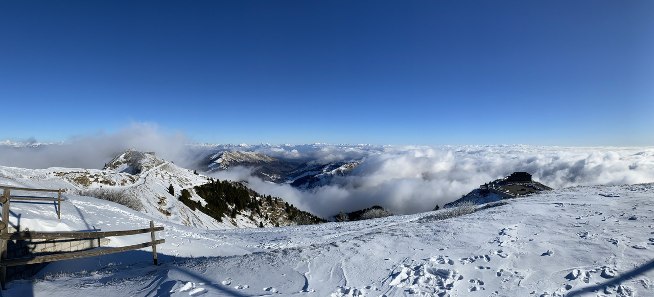 D3A64625-0B9E-4B36-BAE9-30F438533830