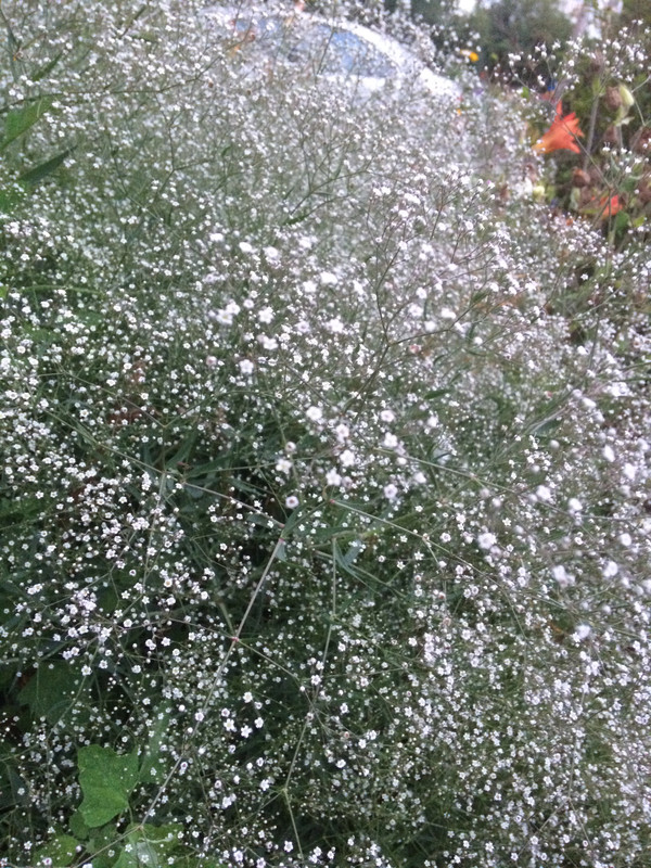 4CD7D1A7-455C-4C62-A582-68ADC41C5FB0