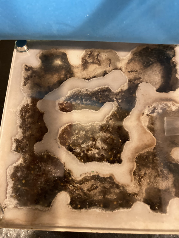 830A3701-3B0E-49A2-984E-31FA678CCF7A