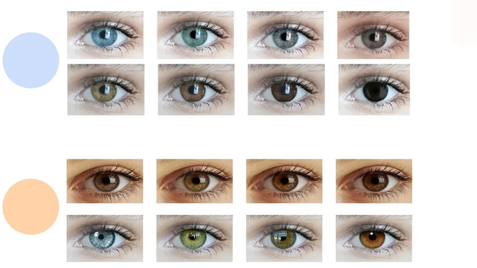 Exemple de 8 couleurs d’yeux chauds vs 8 couleurs d’yeux froids